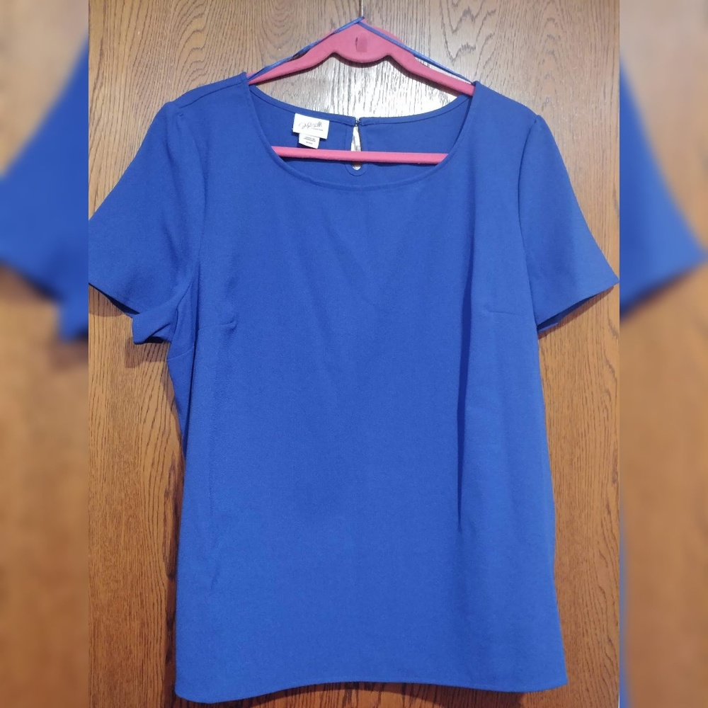 Blue blouse/shirt
